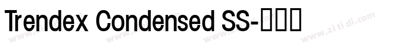Trendex Condensed SS字体转换